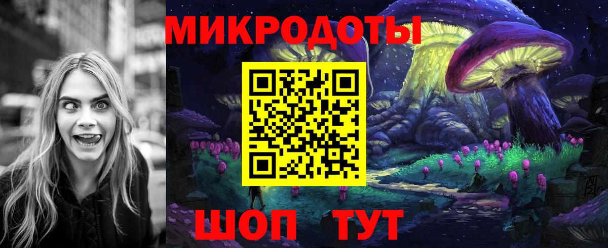 Псилоцибиновые грибы прущие грибы Камышлов