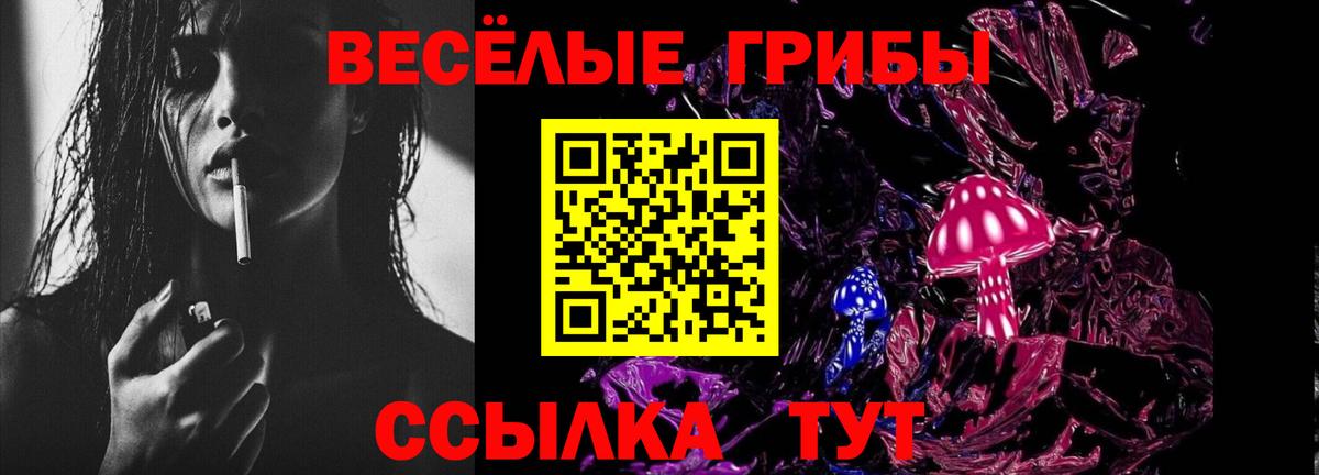 продажа наркотиков  Псилоцибиновые грибы мицелий  Псилоцибиновые грибы ЛСД  Вход с VPN  Камышлов 